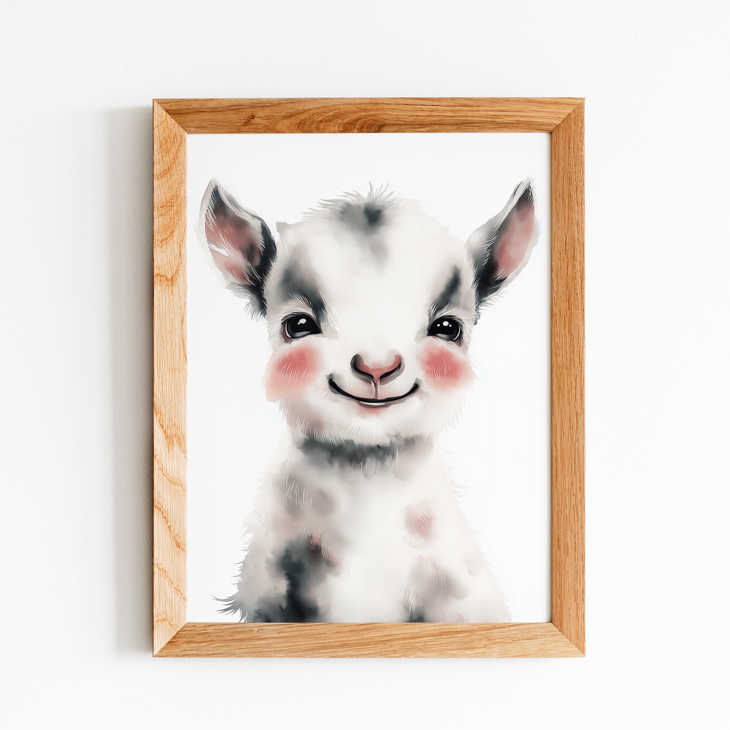Baby Goat