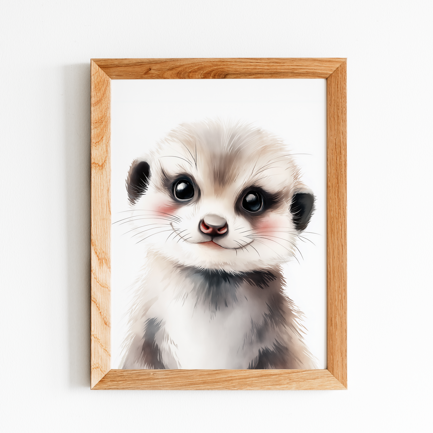 Baby Meerkat
