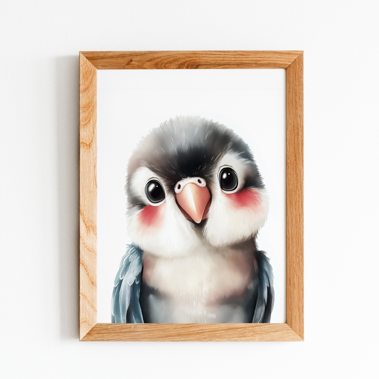 Baby Blue-Throated Macaw