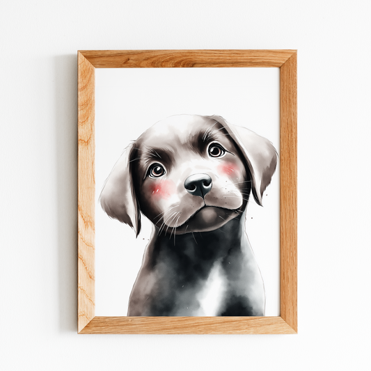 Baby Chocolate Labrador