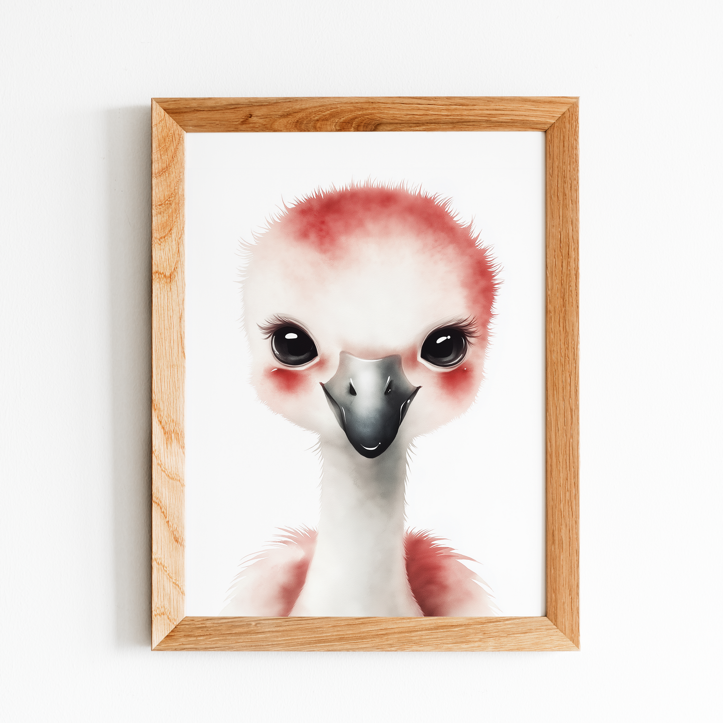 Baby Flamingo