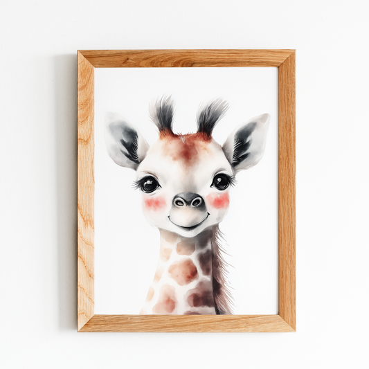Baby Giraffe
