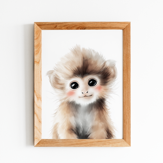 Baby Golden Lion Tamarin