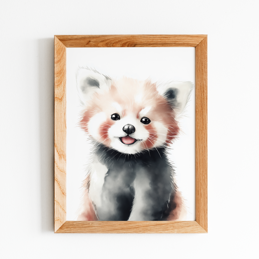 Baby Red Panda