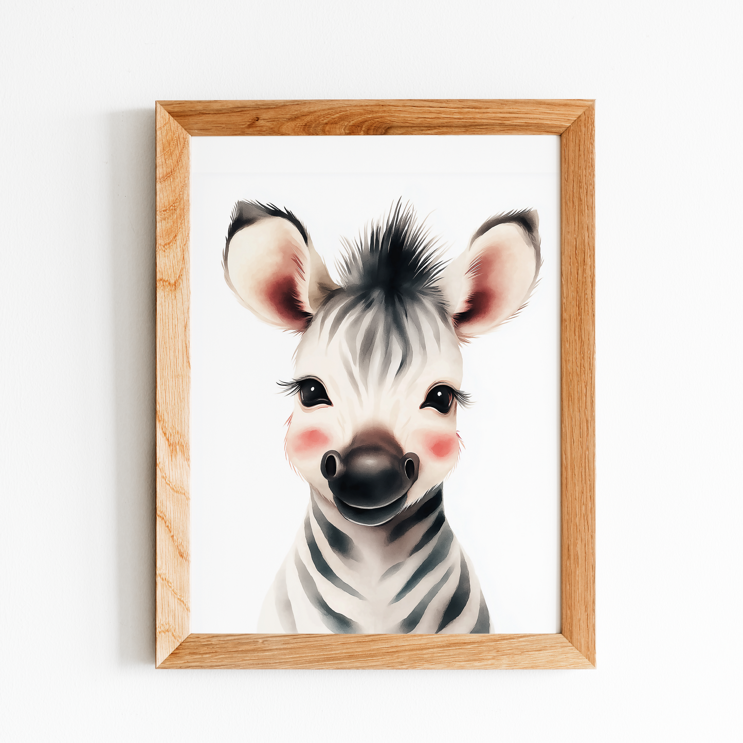 Baby Zebra
