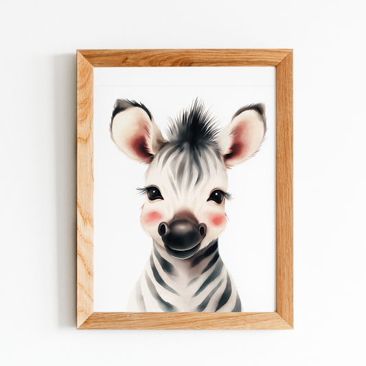 Baby Zebra
